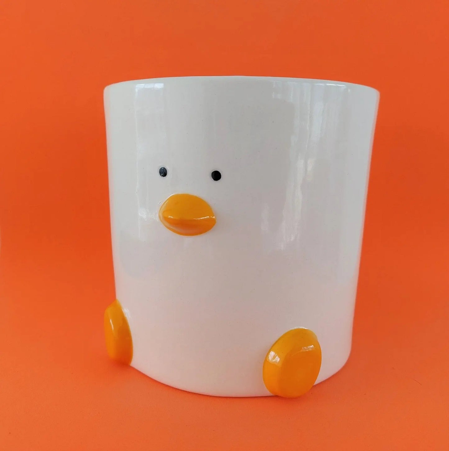 Duck Face Plant Pot (by Haus of Honk) My Store