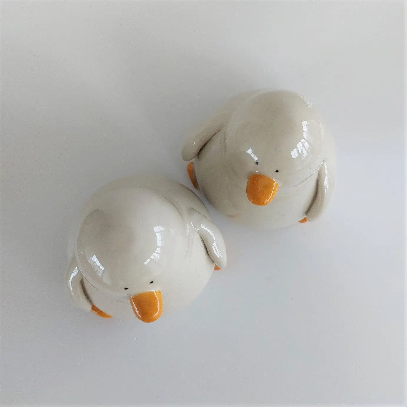 The Original Duck My Store