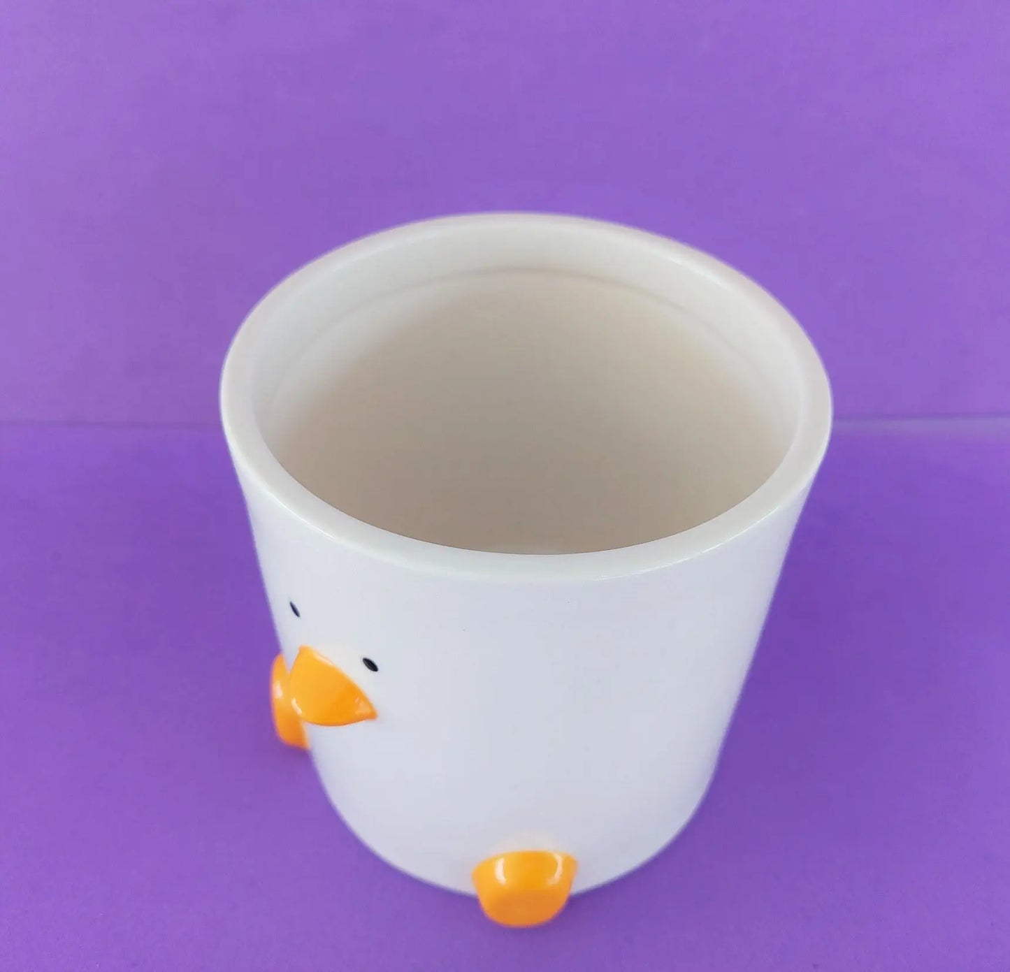 Duck Face Plant Pot (by Haus of Honk) My Store