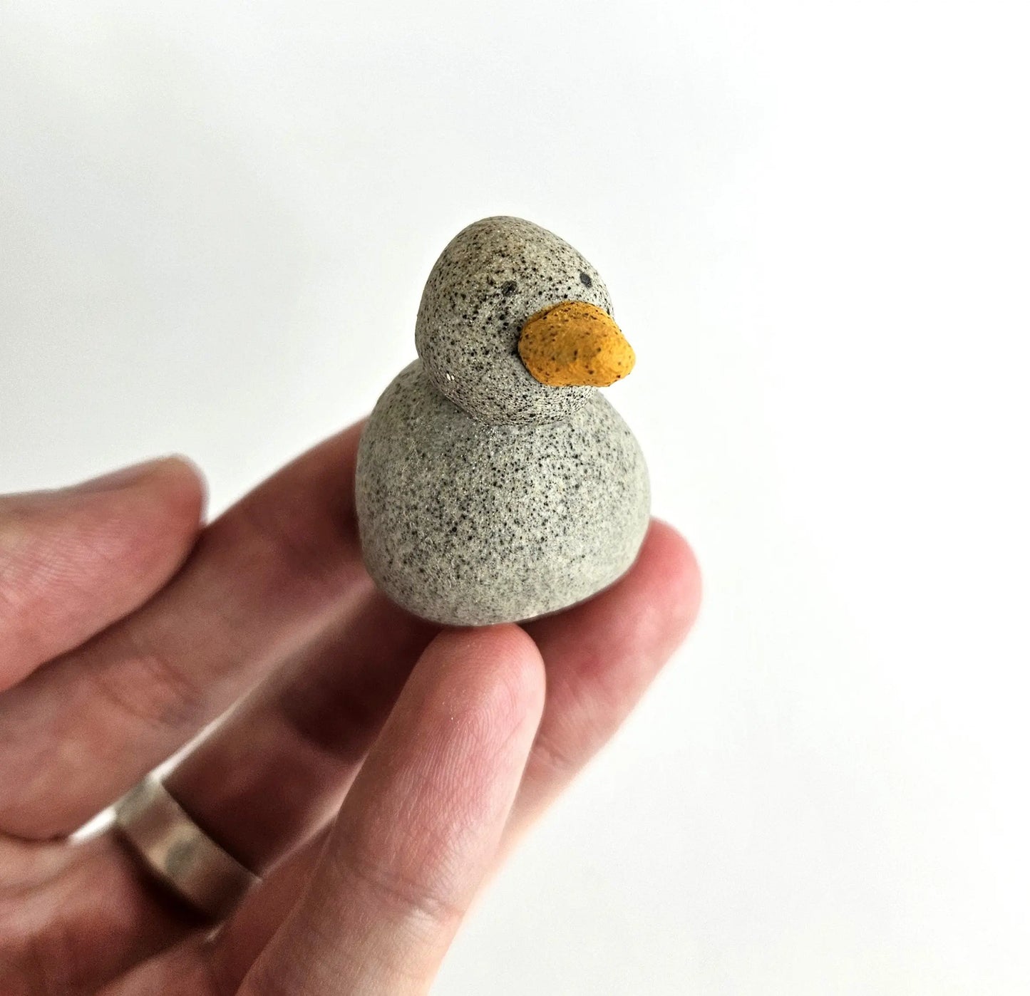 Pocket Duck My Store