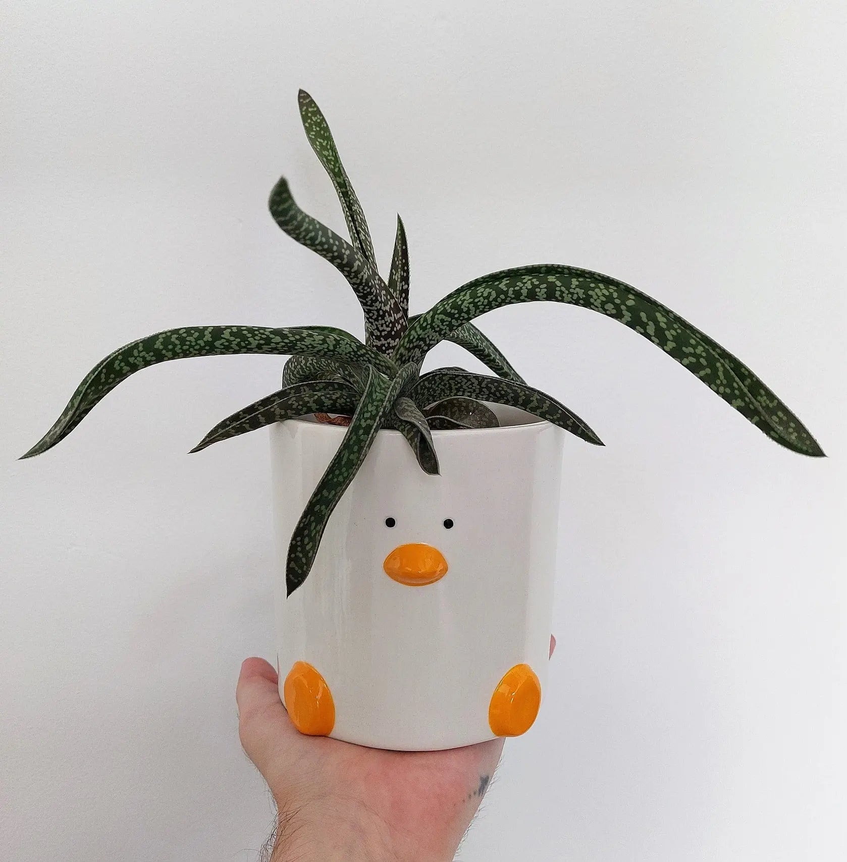 plant pots home decor Ceramic Duck Plant Pot (by Haus of Honk)