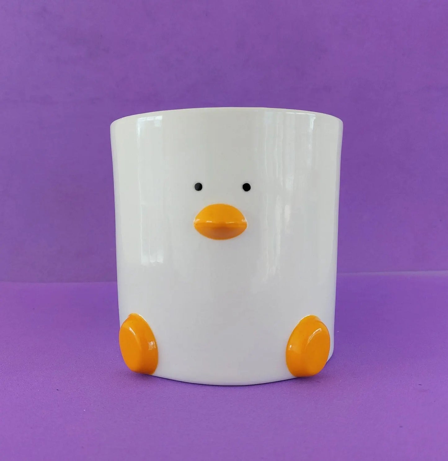 Duck Face Plant Pot (by Haus of Honk) My Store