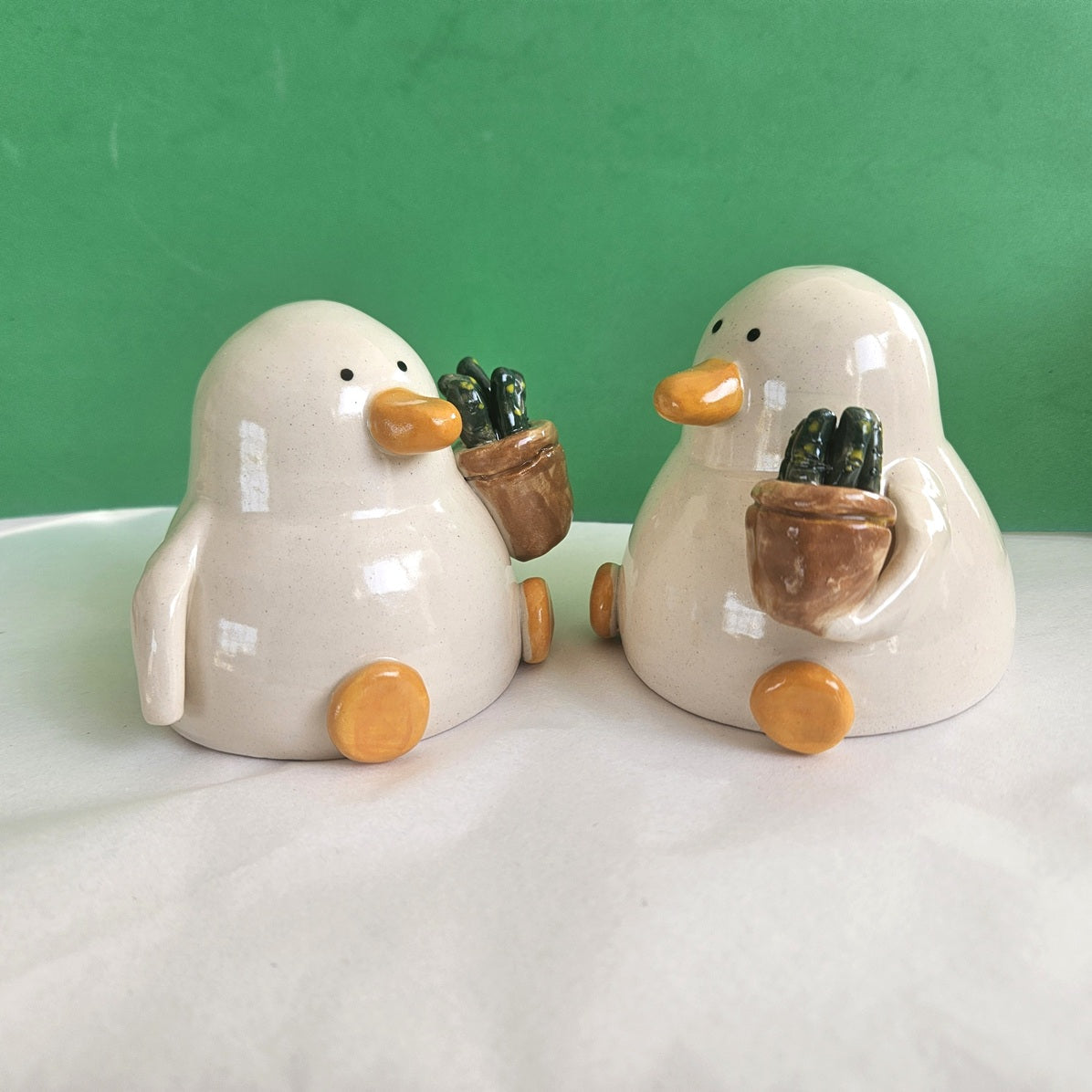 Grant with the Plant - Duck with Succulent Richard Moonstreet Ceramics