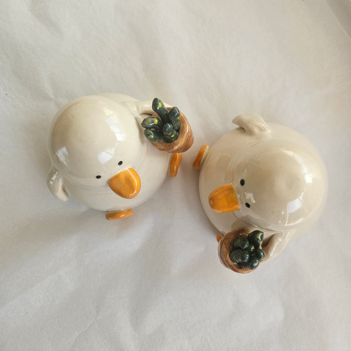 Grant with the Plant - Duck with Succulent Richard Moonstreet Ceramics