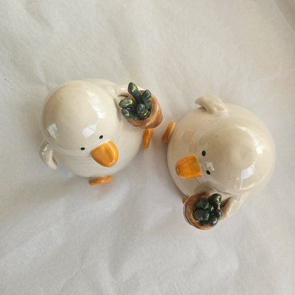 Grant with the Plant - Duck with Succulent Richard Moonstreet Ceramics