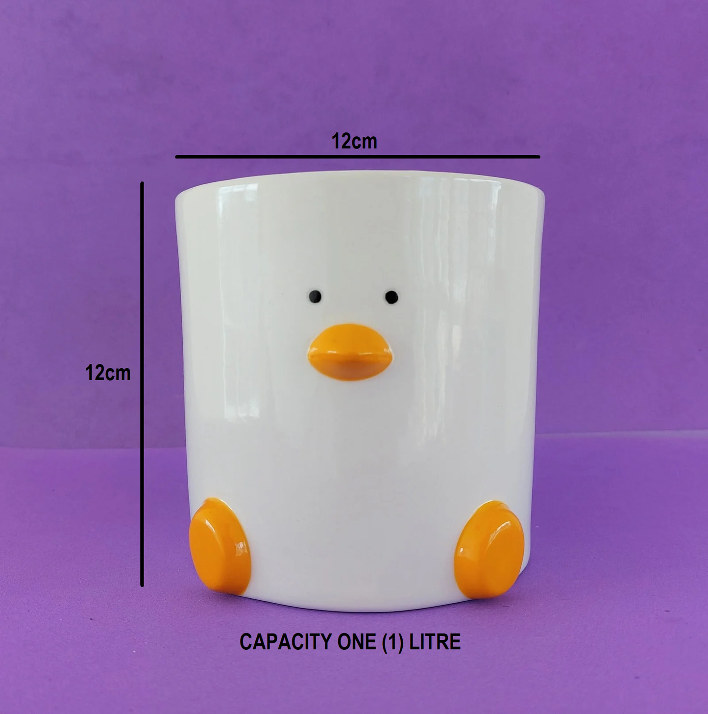 Duck Face Plant Pot (by Haus of Honk)