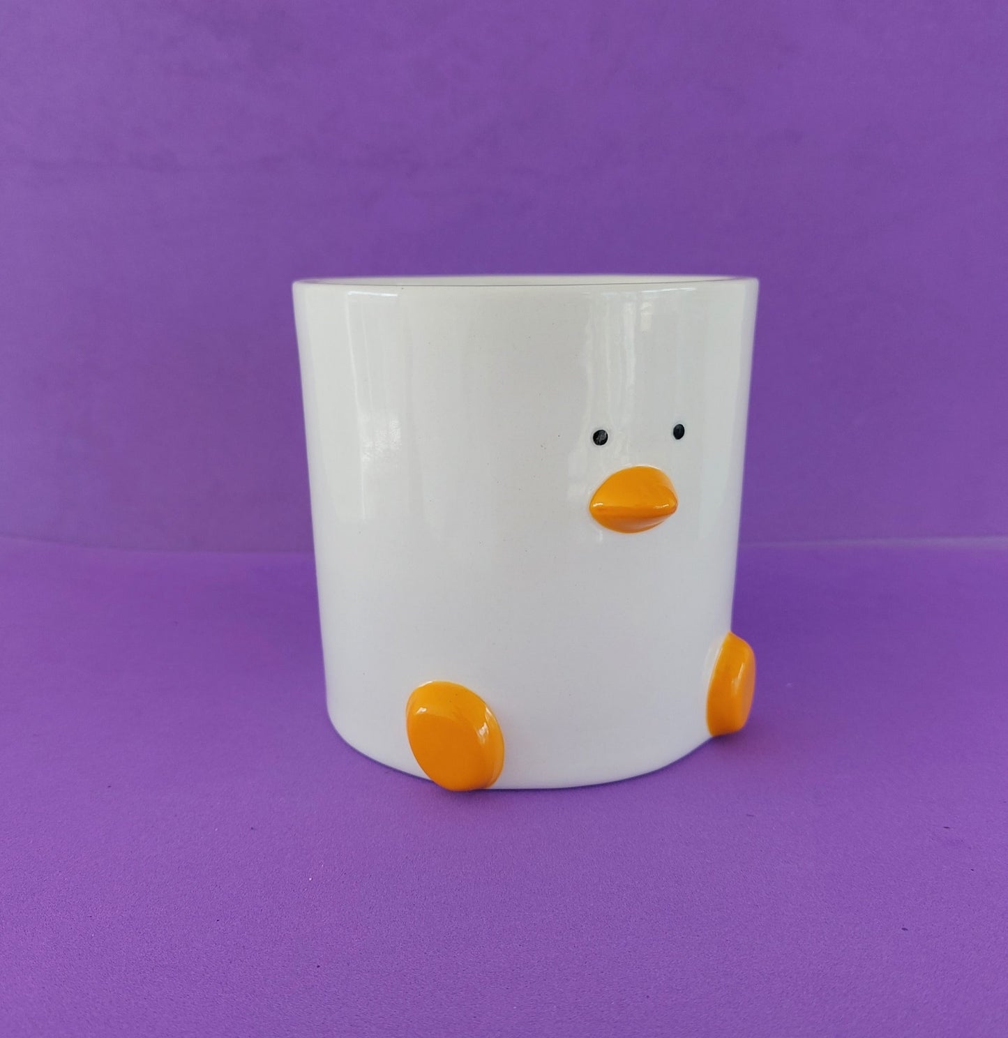 Duck Face Plant Pot (by Haus of Honk)