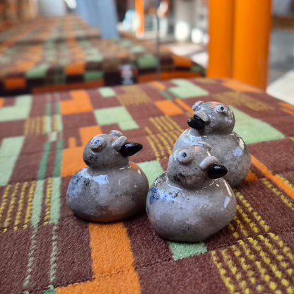 Pocket Pigeon My Store