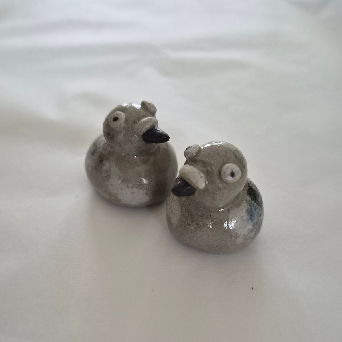 Pocket Pigeon My Store