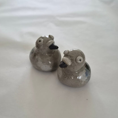 Pocket Pigeon My Store
