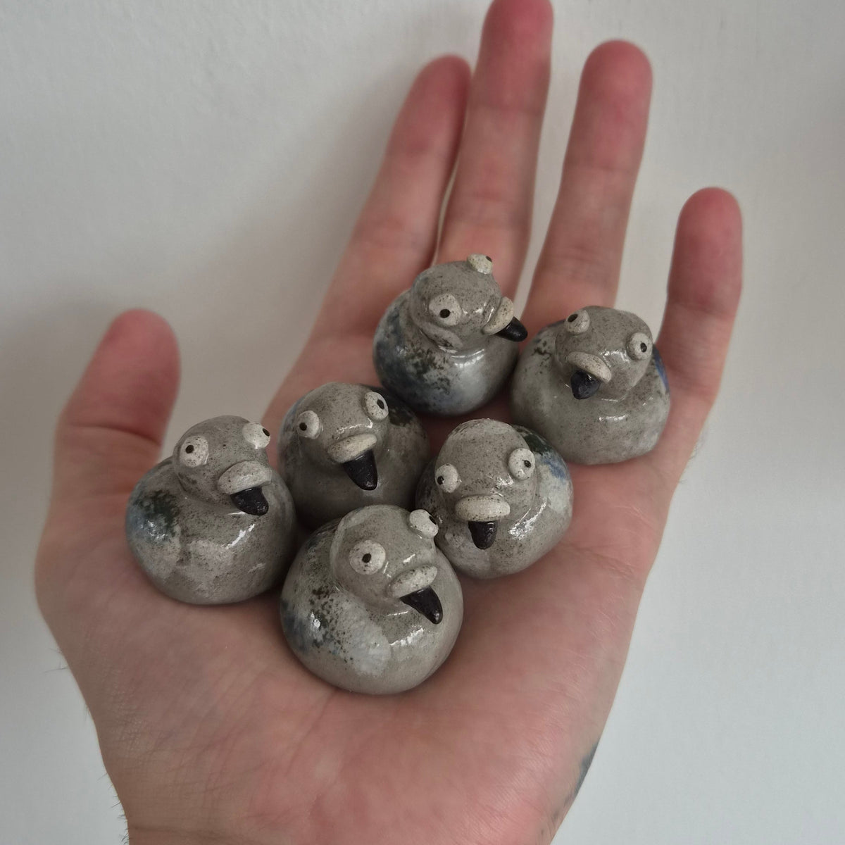 Pocket Pigeon My Store