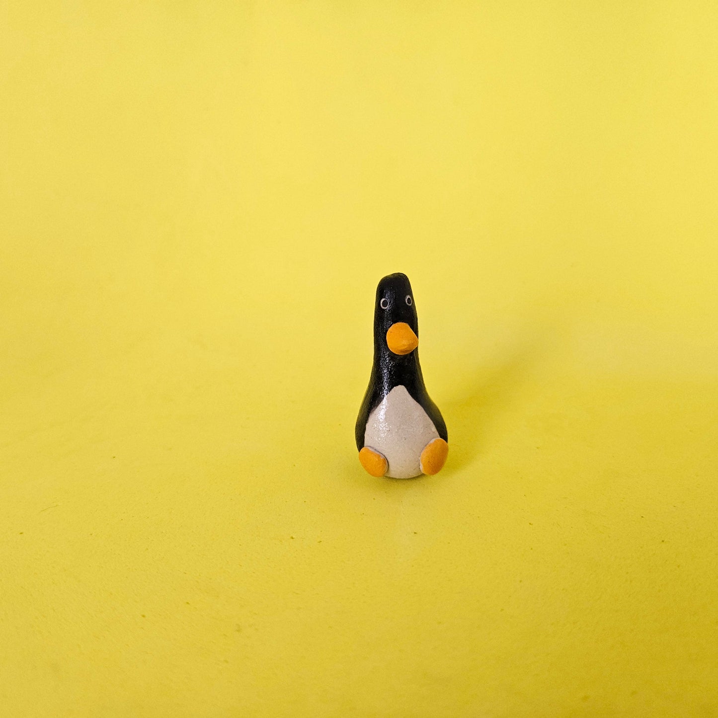 The Smallest Penguin in the World My Store