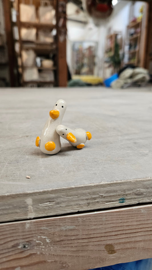 The Inseperable Smallest Geese in the World