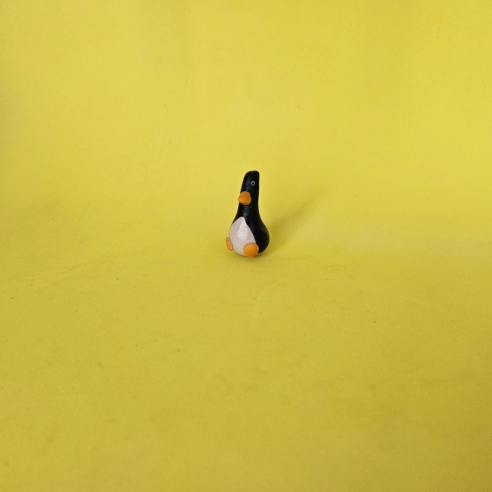 The Smallest Penguin in the World My Store