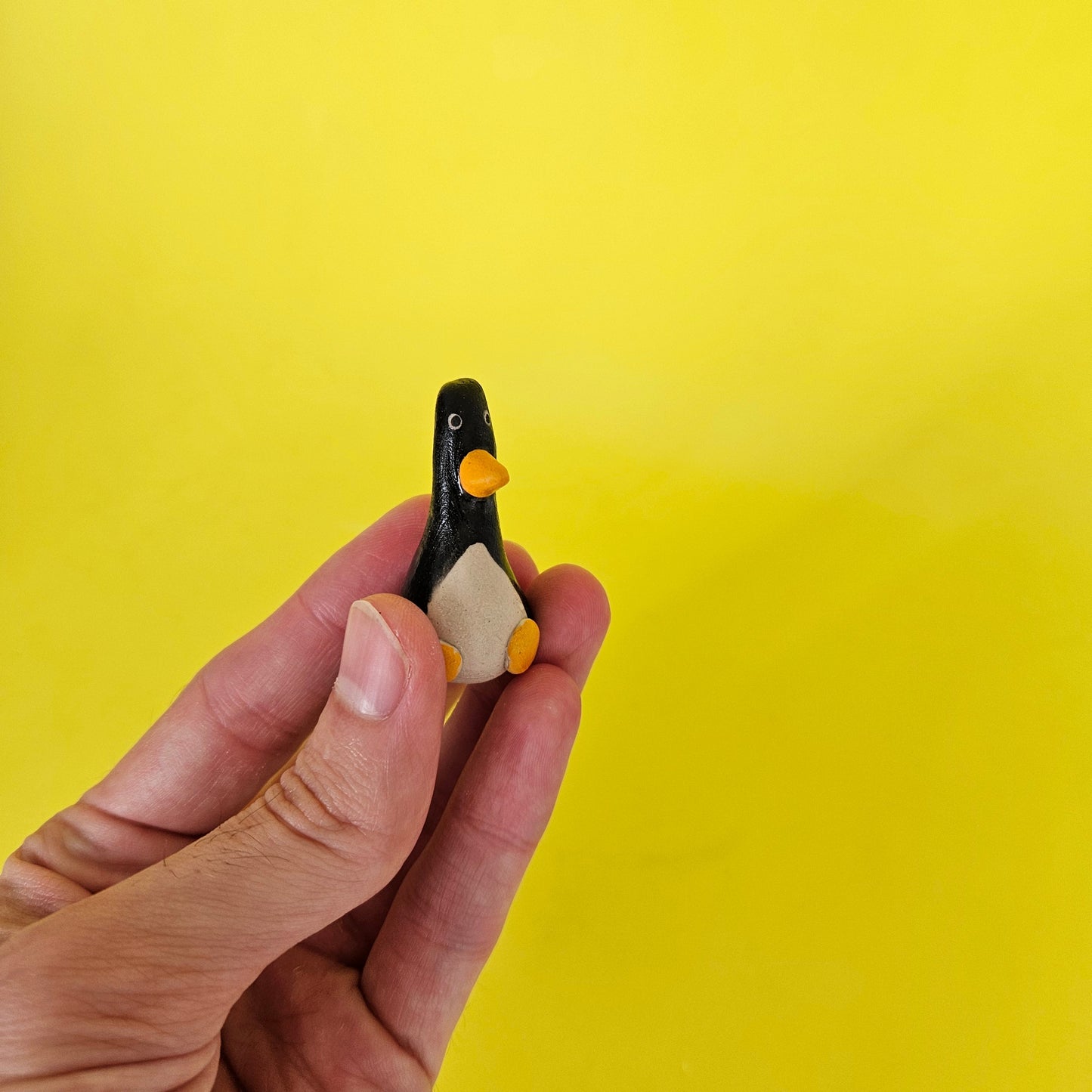 The Smallest Penguin in the World My Store