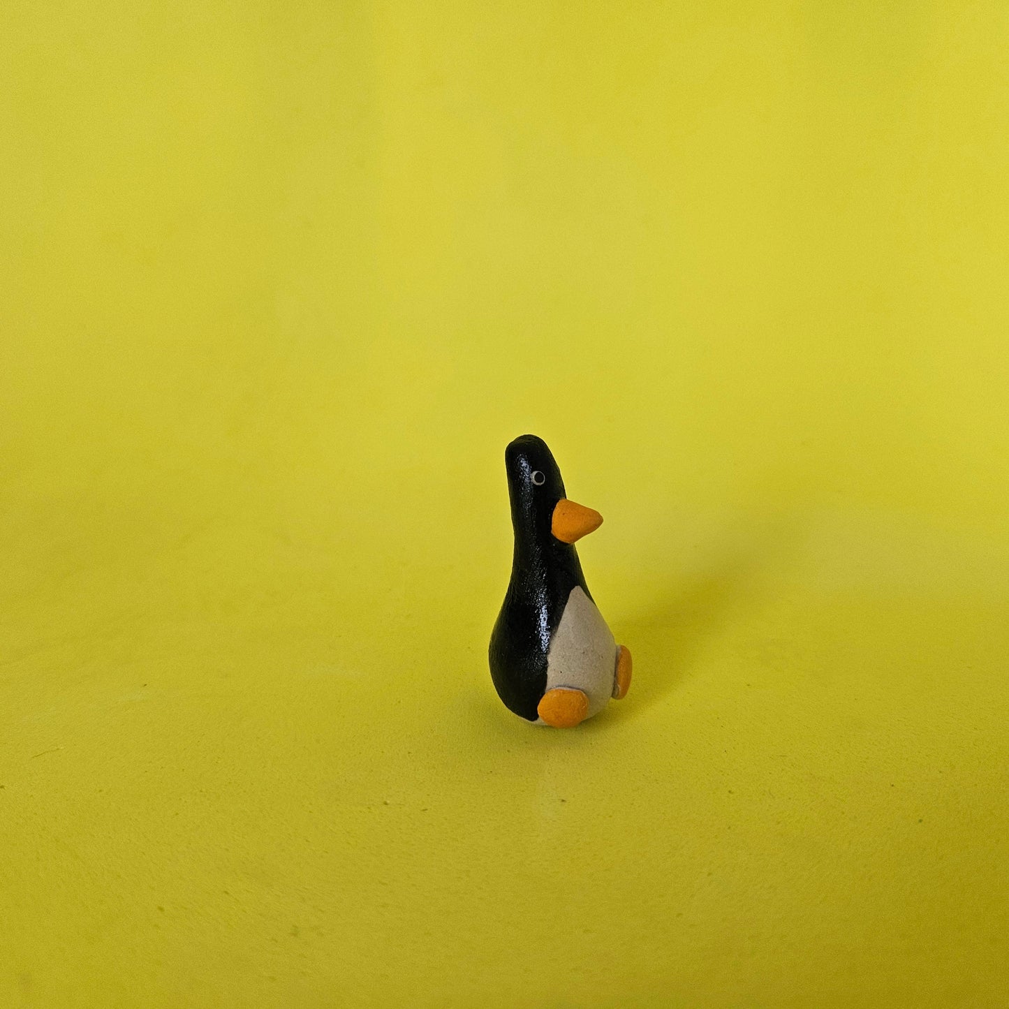 The Smallest Penguin in the World My Store