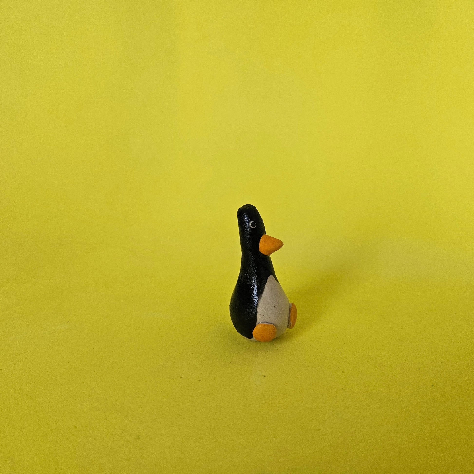 The Smallest Penguin in the World My Store