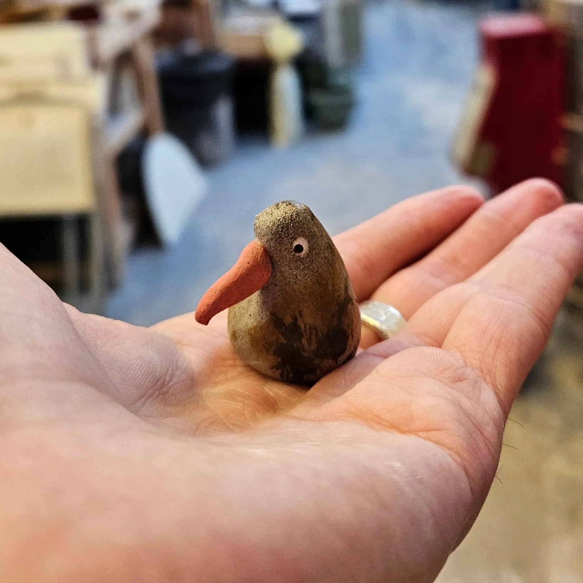 Little Kiwi - Small Handmade Ceramic Cute Kiwi Bird Pocket Charm