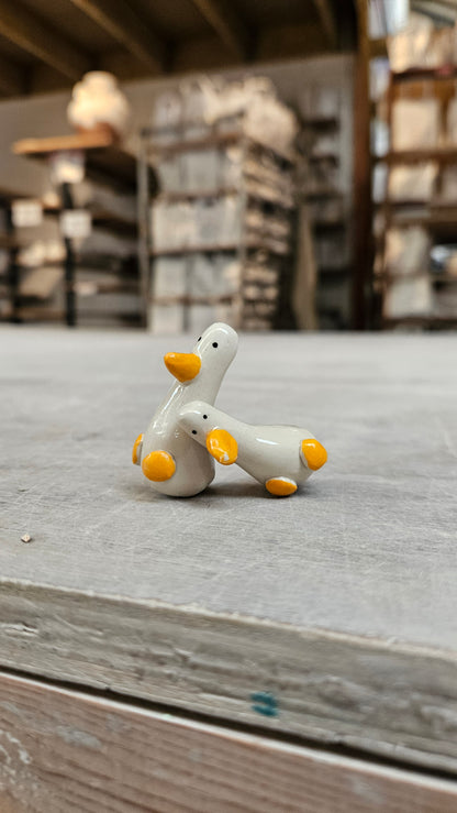 The Inseperable Smallest Geese in the World