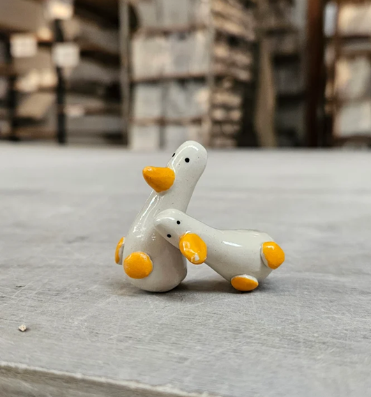 The Inseparable Smallest Geese in the World My Store